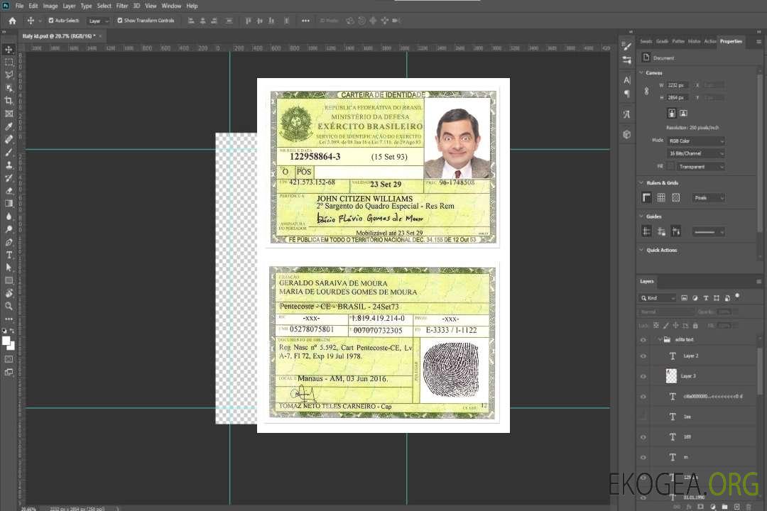 Carte d'identité BRÉSIL (2) template